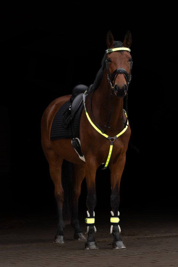 Partie réfléchissante sur le cheval