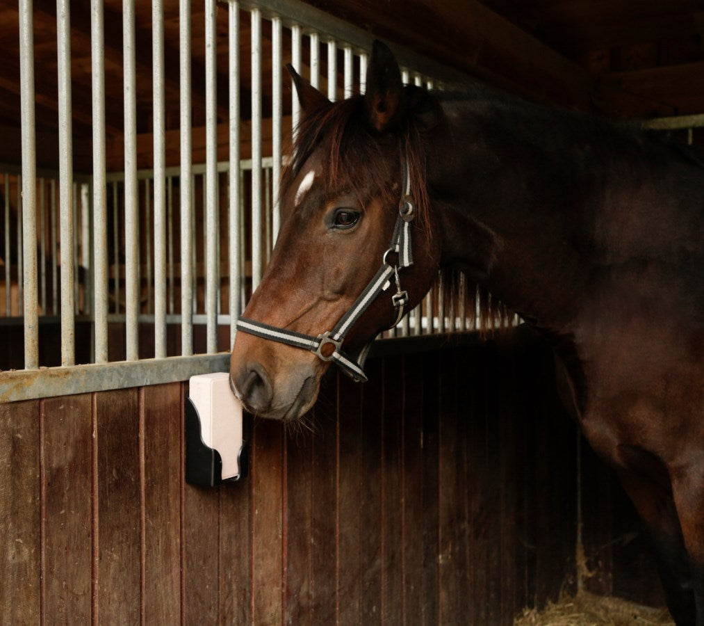 Delizia® Sel à lécher