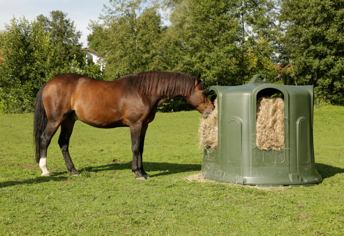 Cloche à foin, balle ronde bovin, équins