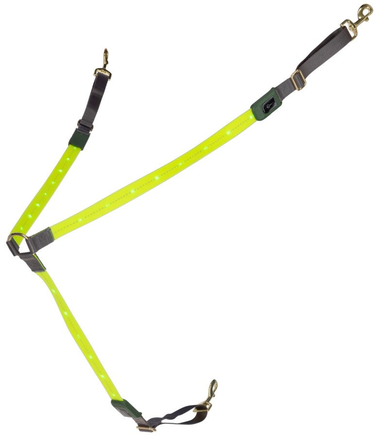 Collier de chasse à led