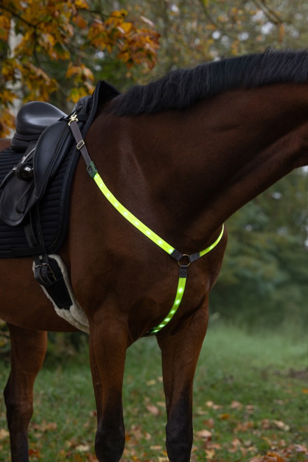 Collier de chasse à led