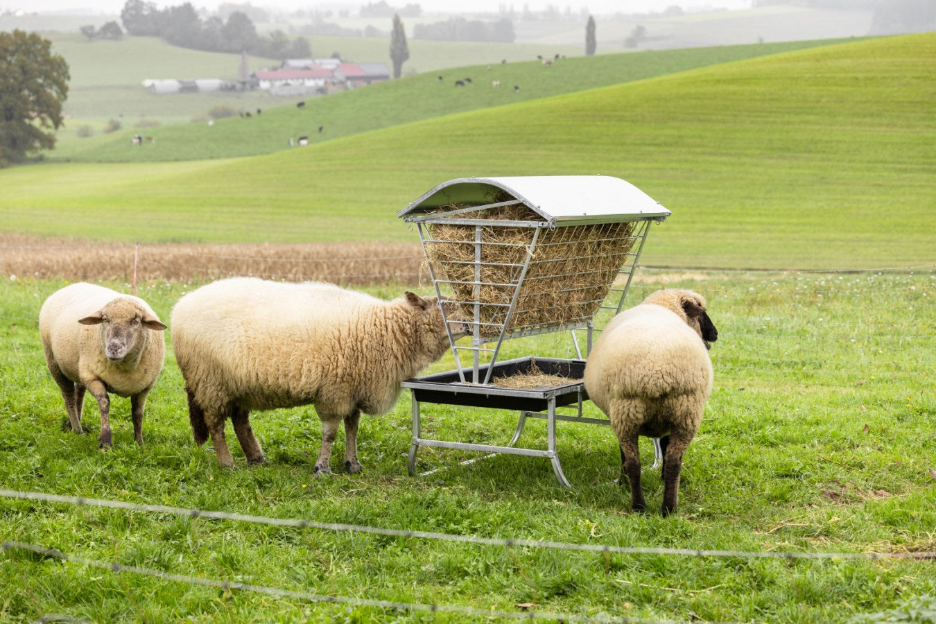 Râtelier à foin avec toit