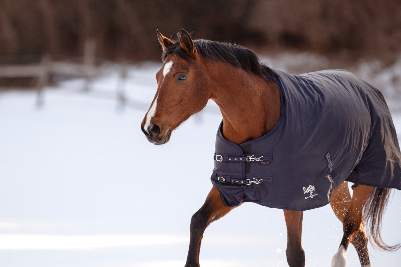 Couverture d'extérieur pour cheval RugBe 100 g - dark navy