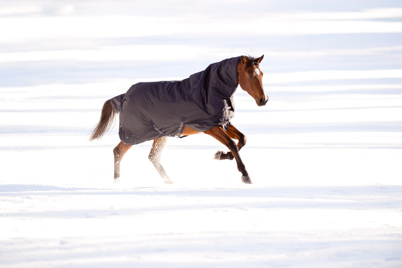 High neck RugBe IceProtect 200 - dark navy