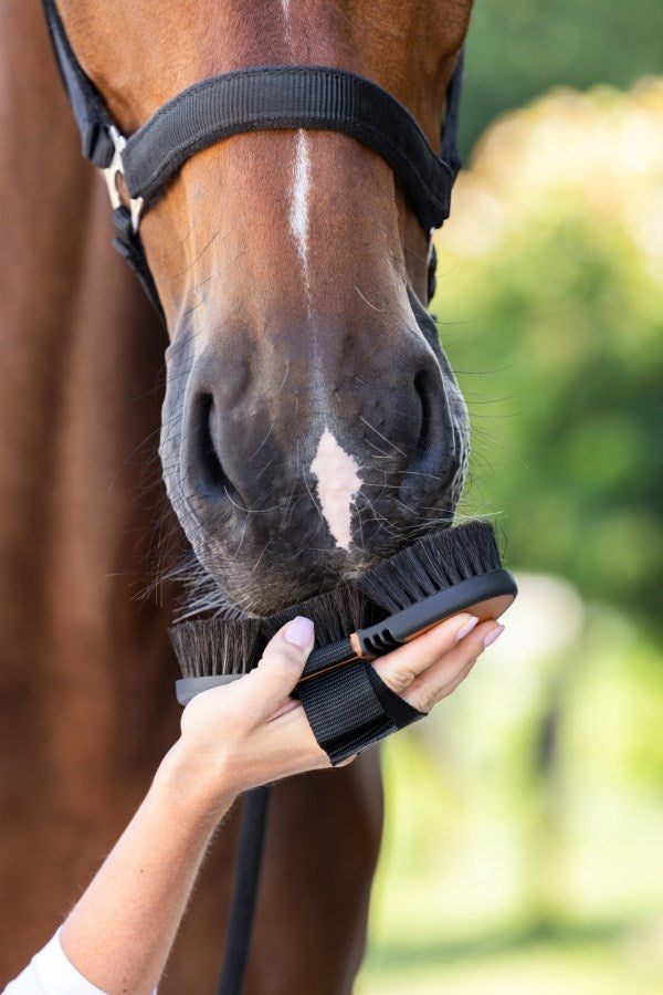 Covalliero Flex HorseHair 2K - marron/noir