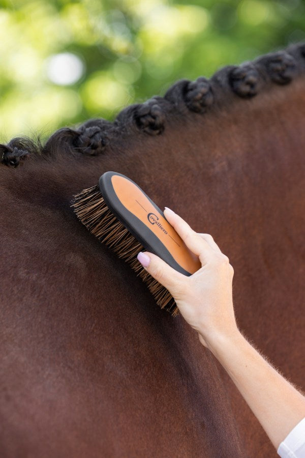 Covalliero Brosse 2K - petite - marron/noir