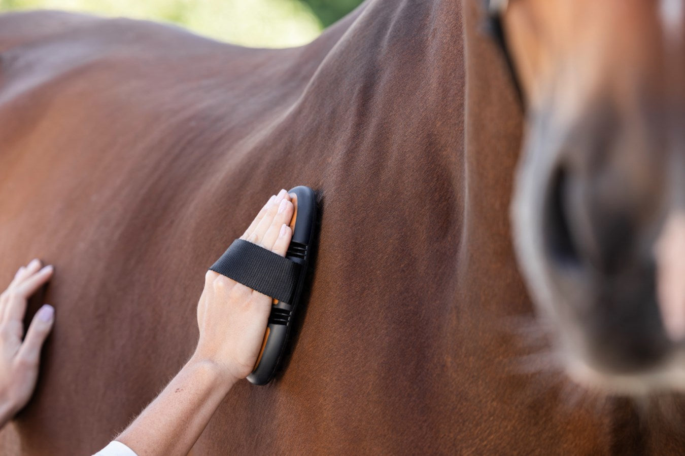 Covalliero Étrille à picots Flex 2K - marron/noir