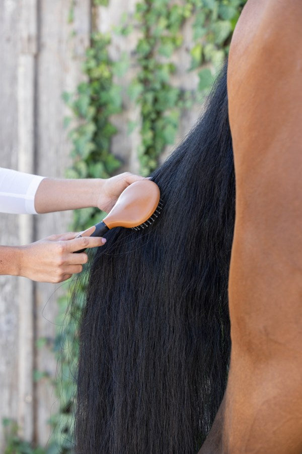 Covalliero Brosse à crinière modèle 2K - marron/noir