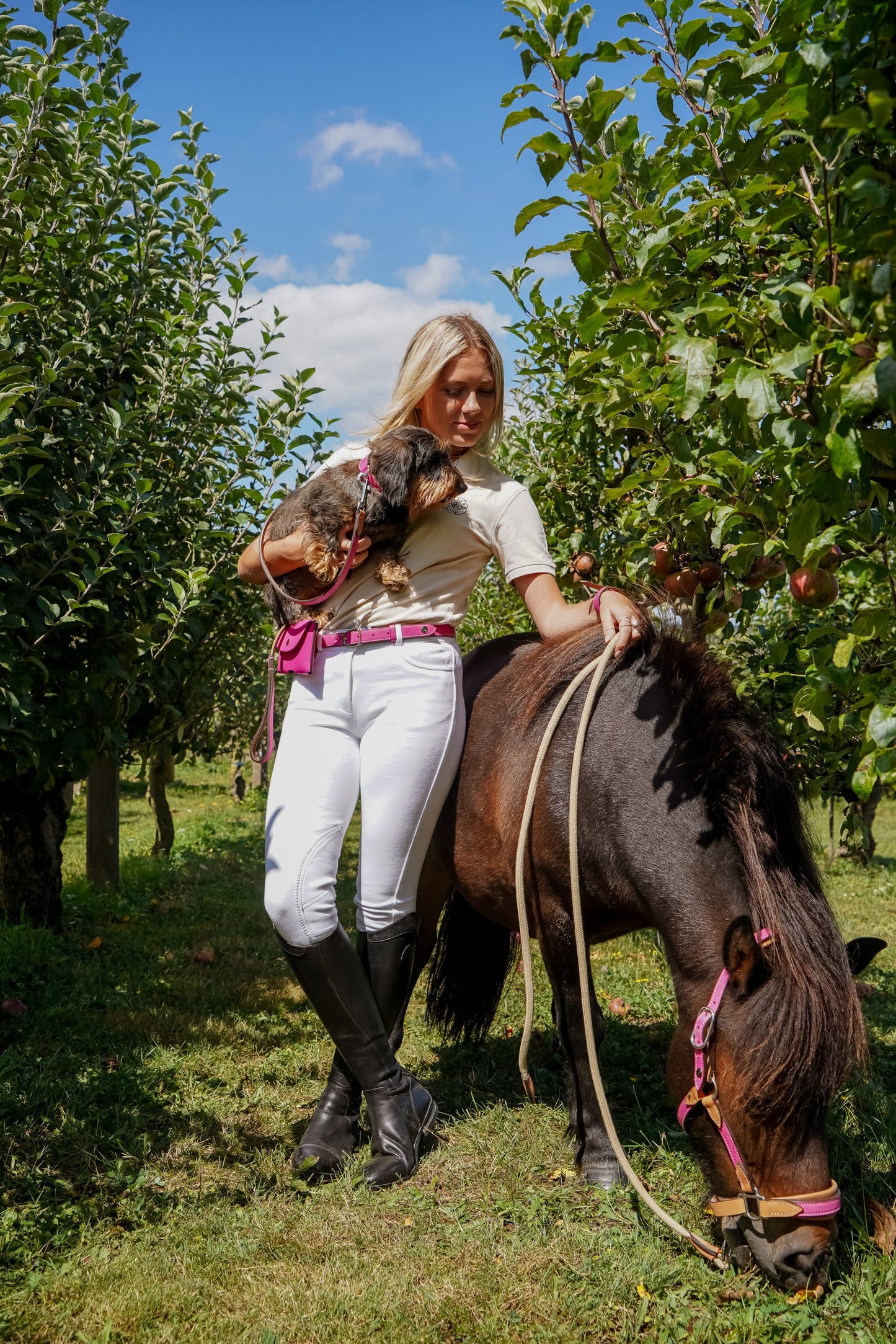 Licol Haut de Gamme en cuir + Longe Taille cheval