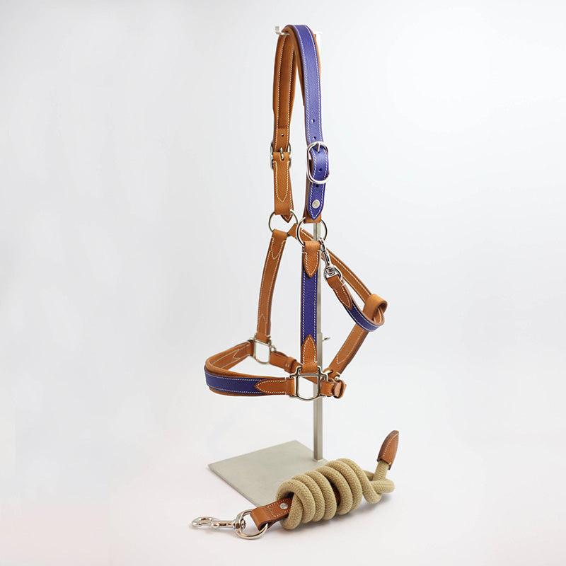 Licol Haut de Gamme en cuir + Longe Taille cheval