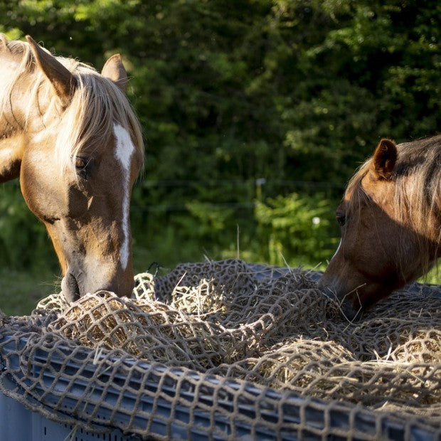 Nappe filet à foin 5mm Maille 45 2mx2m Camel renfort 8mm