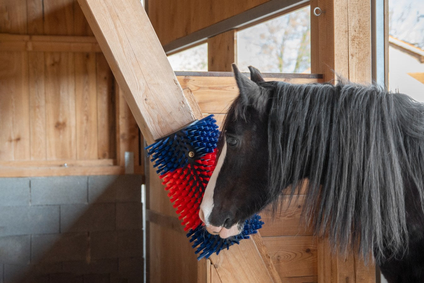 Brosses d'étable Manuelles