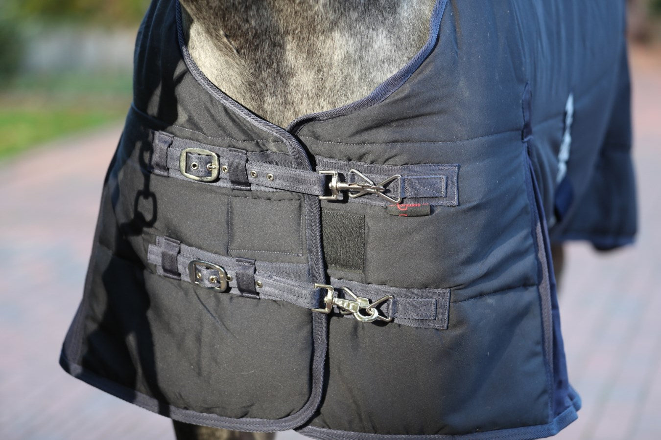 Couverture d'écurie RugBe indoor bleu