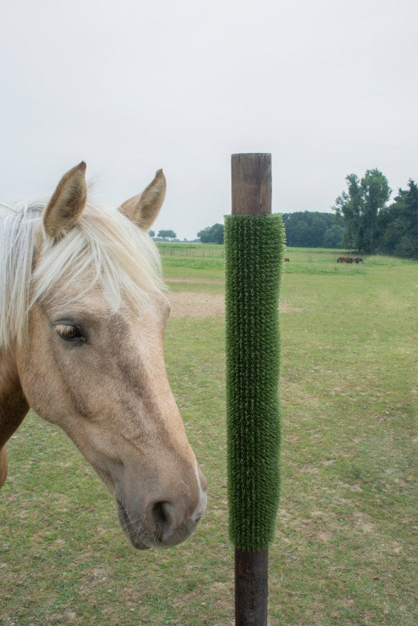 Plaque de grattage Kratzpad verte, 40x60cm