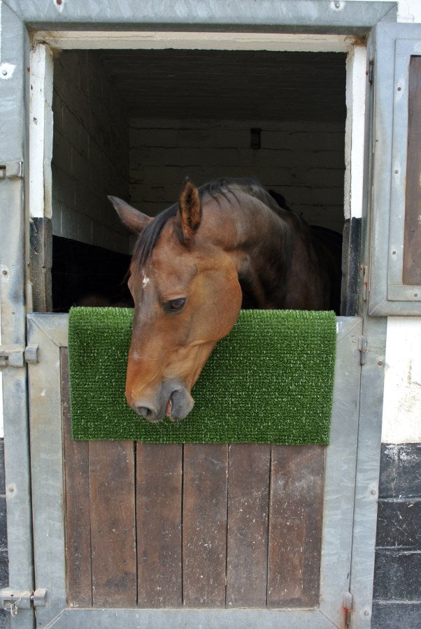 Plaque de grattage Kratzpad verte, 40x60cm