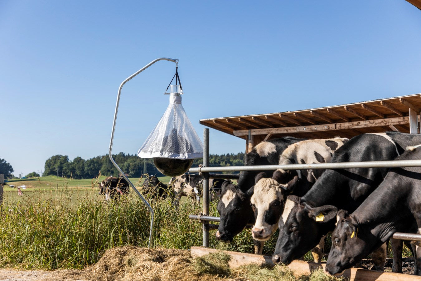 Piège à taons Taon-X 10000m2