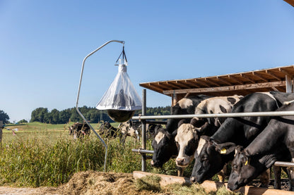 Piège à taons Taon-X 10000m2
