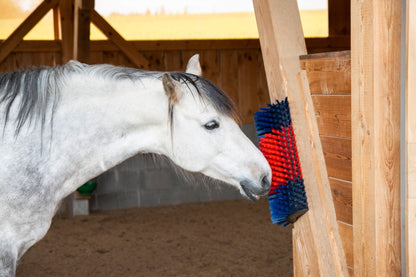 Brosse mi-circulaire bleu-rouge