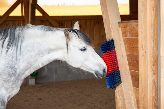 Brosse mi-circulaire bleu-rouge