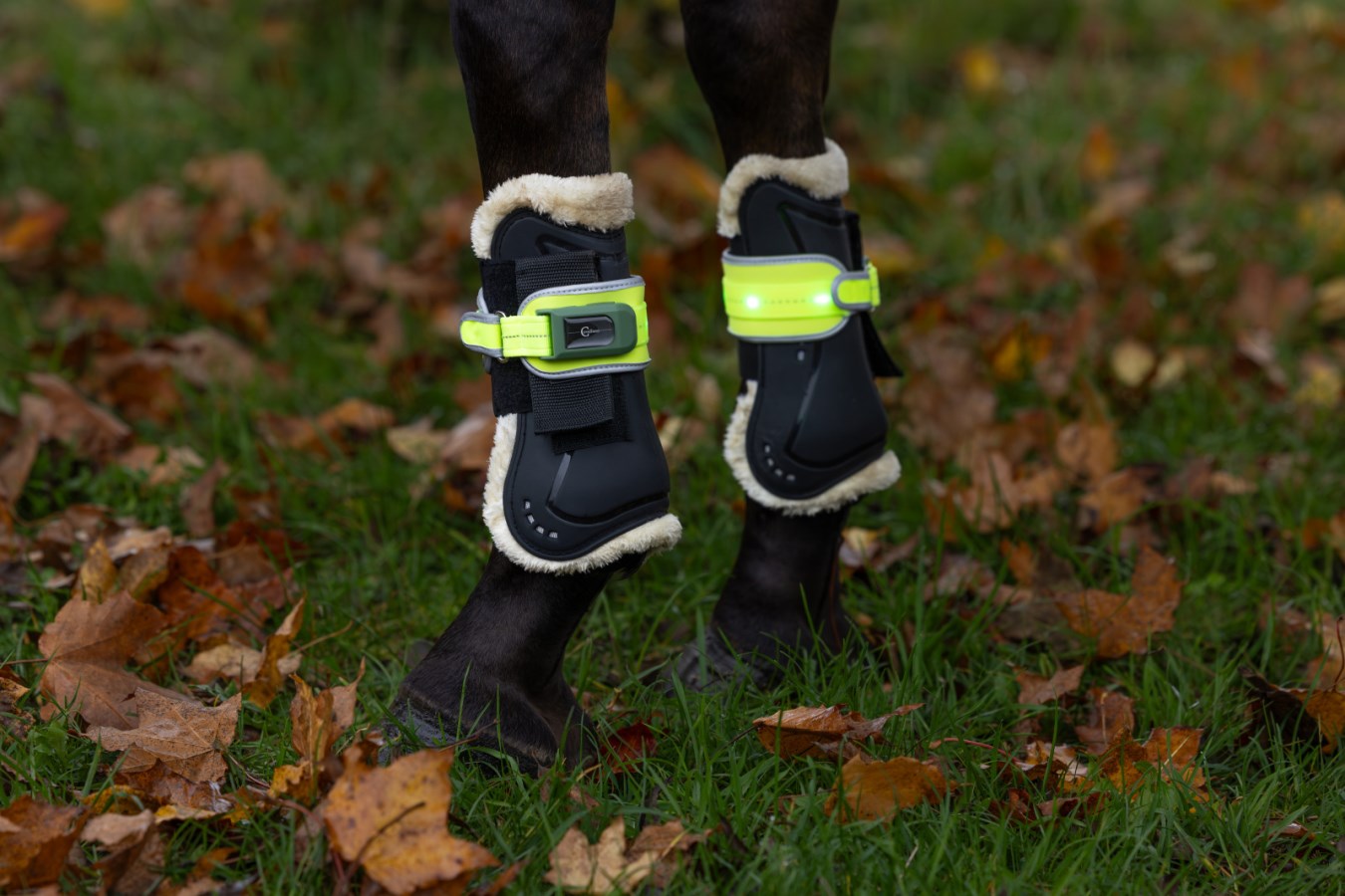 Guêtres à LED réfléchissantes
