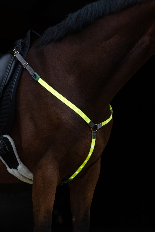 Collier de chasse à led