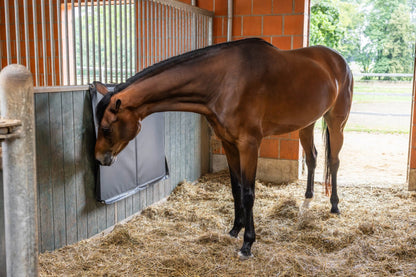 Kickpad 120 x 100 cm noir