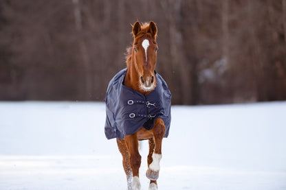 Couverture d'extérieur pour cheval RugBe 100 g - dark navy