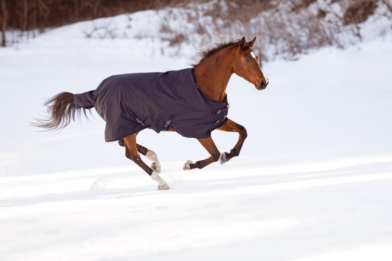 Couverture RugBe Zero dark navy