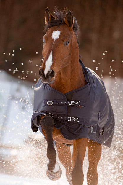 Couverture d'extérieur pour cheval RugBe 100 g - dark navy