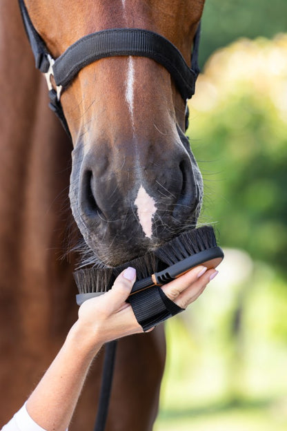 Covalliero Flex HorseHair 2K - marron/noir