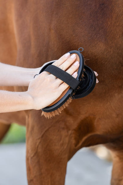 Covalliero Brosse de pansage modèle Deluxe - marron/noir
