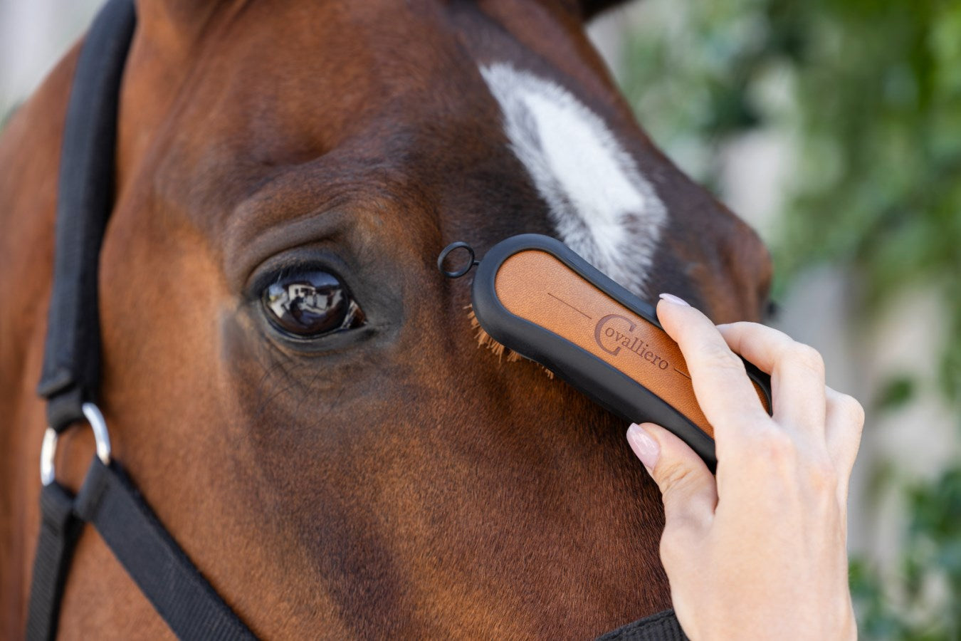 Brosse Covalliero Mini Deluxe - marron/noir