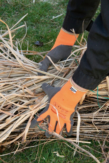 Gants d'hiver PowerGrab Thermo orange