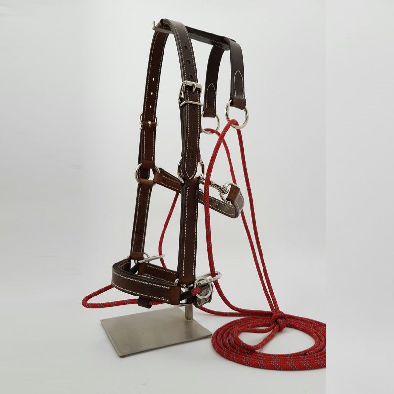 Enrênement GONIN pour le travail en longe