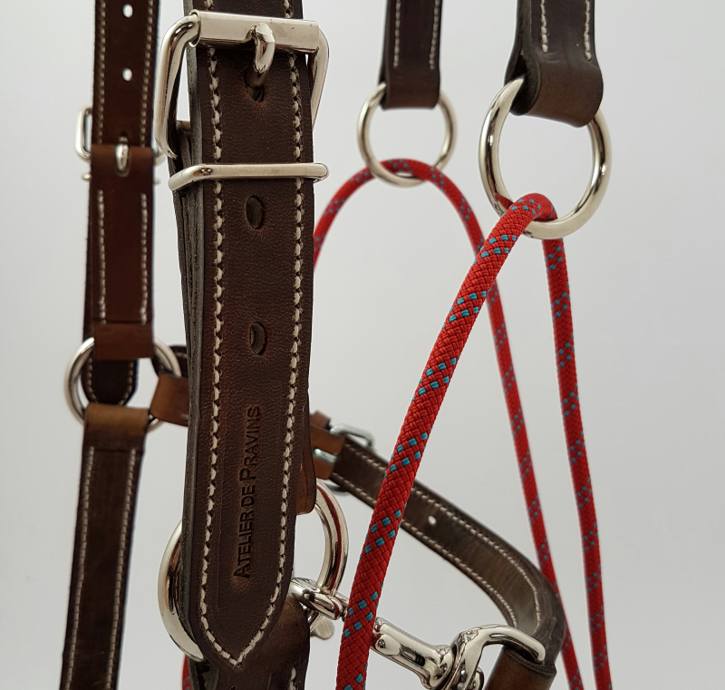 Enrênement GONIN pour le travail en longe