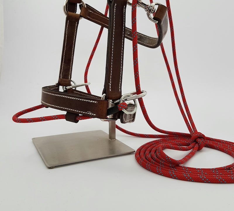 Enrênement GONIN pour le travail en longe