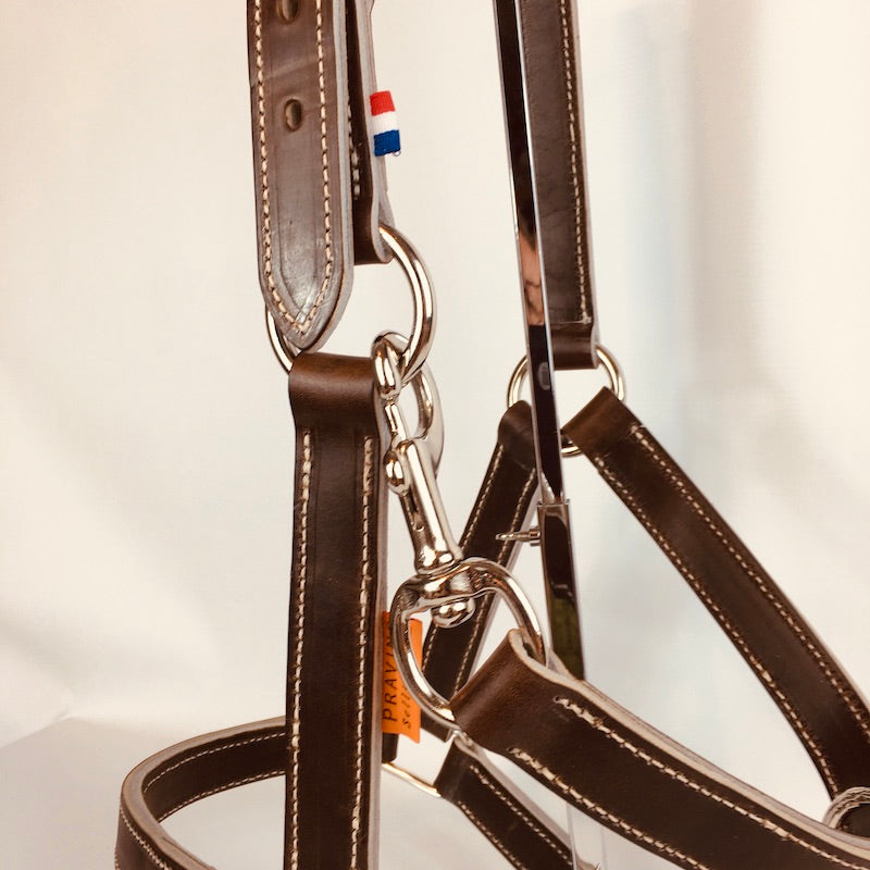 Licol en cuir Chromé – Gamme Ecurie –