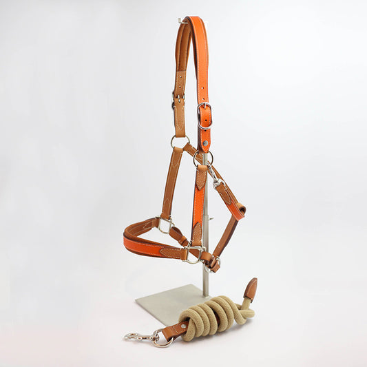 Licol Haut de Gamme en cuir + Longe Taille cheval