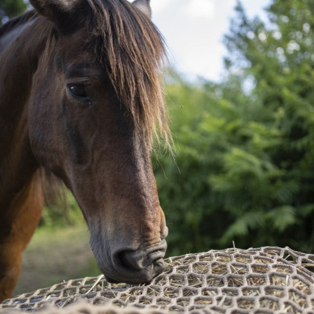 Nappe filet à foin 5mm Maille 45 2mx2m Camel renfort 8mm