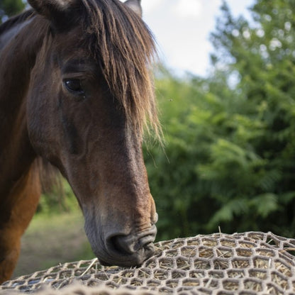 Nappe filet à foin 5mm Maille 60 camel renfort 8mm ( sur commande 5 à 10 jours de délais)